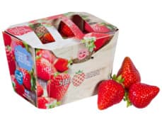 Starberry Hollandse aardbeien