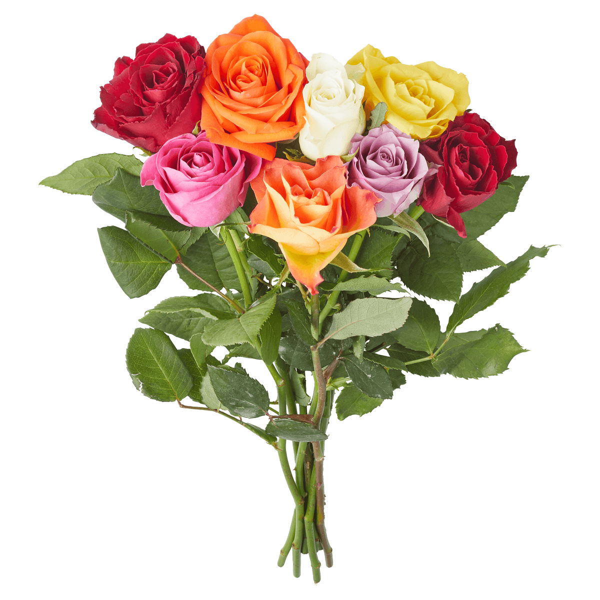 PLUS Bloemen & planten