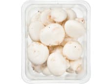Champignons